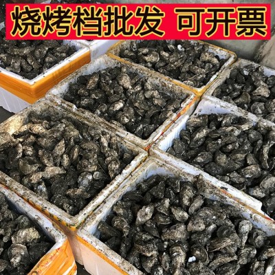 深圳湛江生蚝批发鲜活水产海鲜新鲜小台山带壳烧烤一箱整箱100斤图3