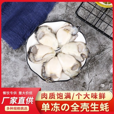 福建沿海新鲜海鲜生蚝肉 去壳牡蛎肉鲜活现剥 单冻蚝肉批发供应