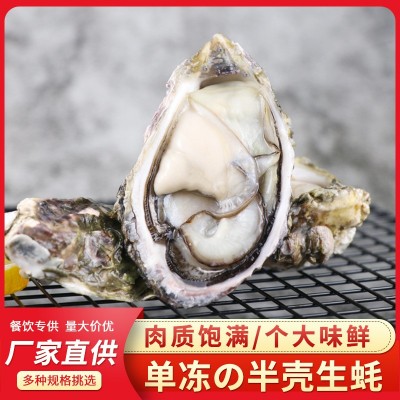 福建沿海海鲜半壳生蚝烧烤食材肉质肥嫩新鲜单冻半壳生蚝支持贴牌图2