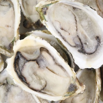 福建沿海海鲜半壳生蚝烧烤食材肉质肥嫩新鲜单冻半壳生蚝支持贴牌图3