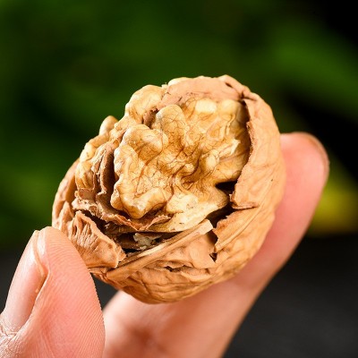 云南楚雄薄壳核桃原味核桃产地现货干核桃批发薄皮核桃批发