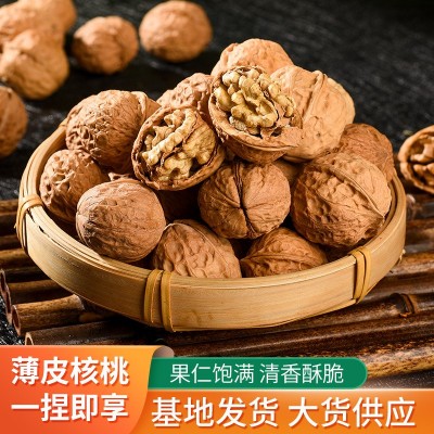 云南楚雄薄壳核桃原味核桃产地现货干核桃批发薄皮核桃批发图3