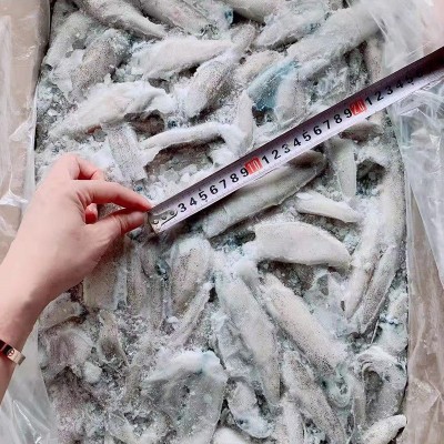 加州笔管鱼 小鱿鱼 鱿鱼 进口笔管鱼 海鲜冻品批发 量大从优图2