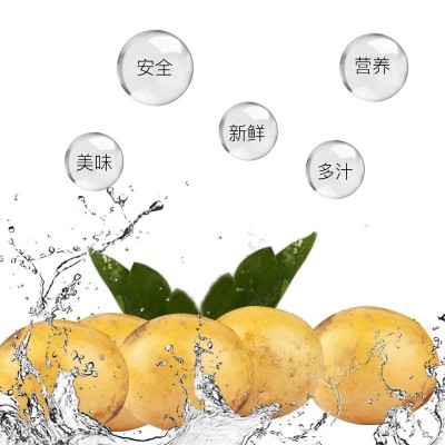 江西特产 南酸枣糕散装批发 酸甜可口散装酸枣糕 酸枣糕厂家供货图4