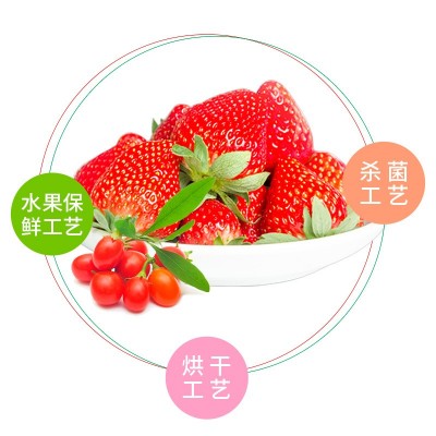草莓枸杞果片散装样品 果片源头厂家供货 可提供多口味果片样品图4
