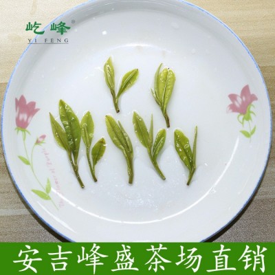 250克屹峰安吉白茶 2022年新茶绿茶叶口粮茶原产地散茶批发直销图4