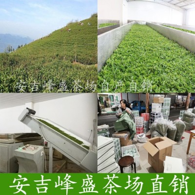 屹峰安吉白茶绿茶茶叶2022新茶 特级高山明前茶250克散茶批发好茶图4