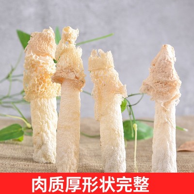 贵州织金土特产厚肉红托黑头地摊干货竹笙荪菌毛肚250克一件 批发图2