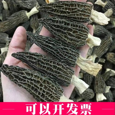 云南特产羊肚菌新鲜剪柄食用蘑菇干货包装大量批发头茬一公斤批发
