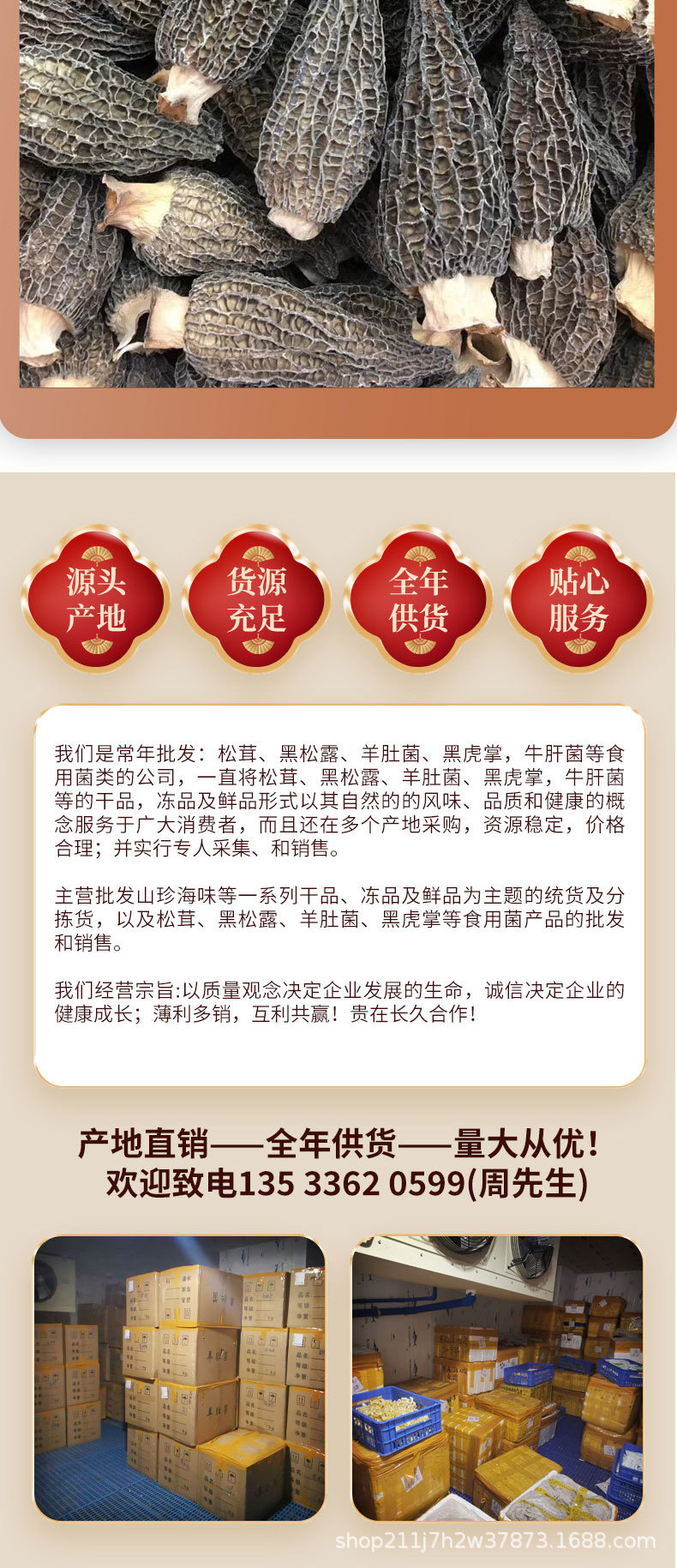羊肚菌2_04.jpg