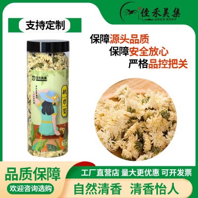 养生花草茶杭白菊 罐装杭白菊 菊花茶厂家批发承接大货杭白菊花茶