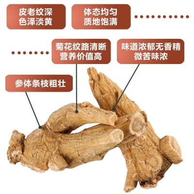 加拿大花旗参圆粒段 500g西洋参大粒头 泡酒煲汤软枝参段货源批发图2