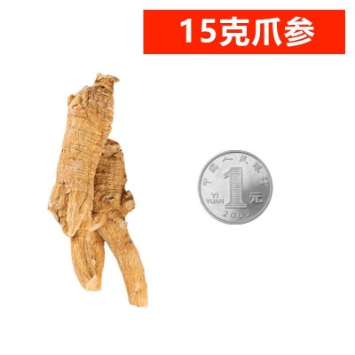 加拿大花旗参圆粒段 500g西洋参大粒头 泡酒煲汤软枝参段货源批发图4