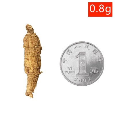 山东原丛西洋参整枝参段批发花旗参500克散装参条可打粉切片图4