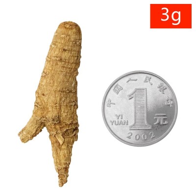 山东原丛西洋参整枝参段批发花旗参500克散装参条可打粉切片图5