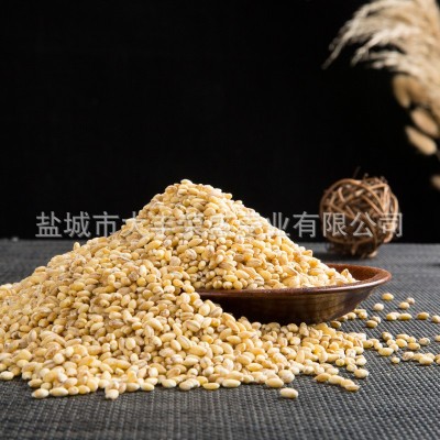 五谷杂粮麦仁八宝粥原料麦仁大麦仁烘焙原料麦仁现货批发图4
