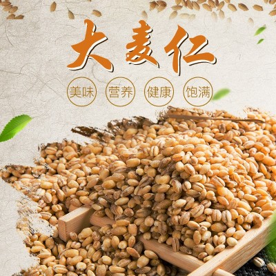 厂家供应麦仁 八宝粥原料麦仁麦仁大麦仁现货批发供应量大从优图1