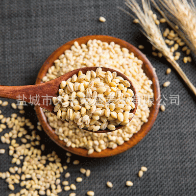 厂家供应麦仁 八宝粥原料麦仁麦仁大麦仁现货批发供应量大从优图5