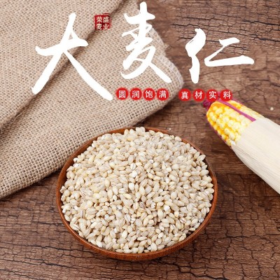 现货供应大麦仁 八宝粥原料麦仁 啤酒麦芽食品厂批发图1