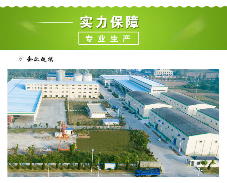 丝苗xq5_05.jpg