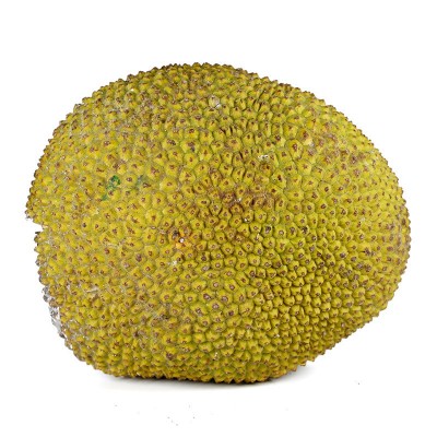 【全年款】海南黄肉菠萝蜜 新鲜水果老树菠萝蜜30-35斤榴莲蜜代发图5
