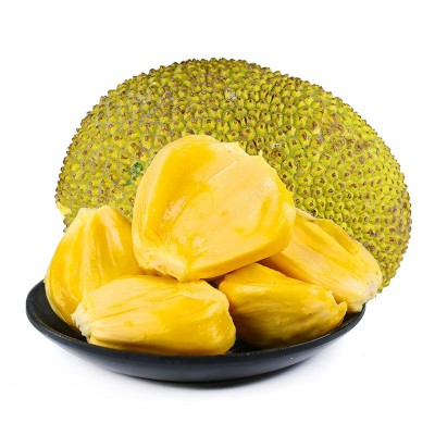【全年款】海南黄肉菠萝蜜 新鲜水果老树菠萝蜜30-35斤榴莲蜜代发