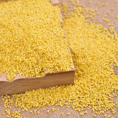 人民食品有机黄小米1KG东北大米伴侣宝宝婴儿儿童粥月子米食用图2