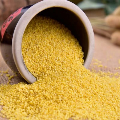 人民食品 有机黄小米 东北五谷杂粮小米营养粥米410g/瓶图3