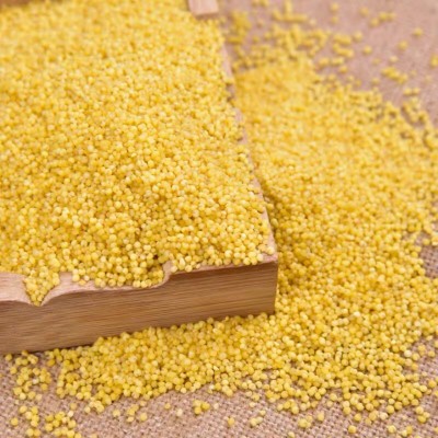 人民食品 有机黄小米 东北五谷杂粮小米营养粥米410g/瓶图5