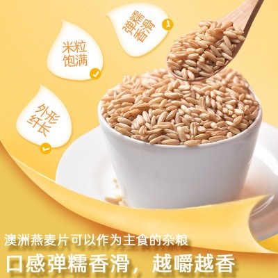 人民食品澳洲燕麦米500g燕麦五谷杂粮粥粗粮燕麦仁图2