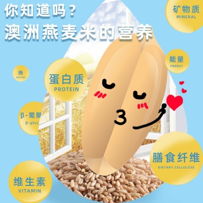 人民食品澳洲燕麦米500g燕麦五谷杂粮粥粗粮燕麦仁图4