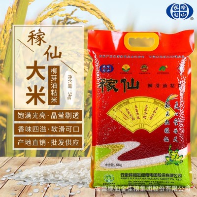 自家产地稼仙柳芽油粘5kg家庭装米粒饱满香糯可口南方农家米现货图1