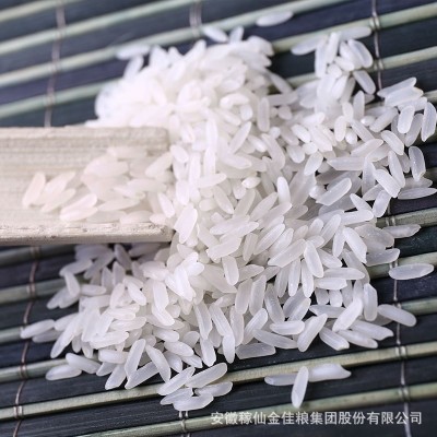 自家产地稼仙柳芽油粘5kg家庭装米粒饱满香糯可口南方农家米现货图3