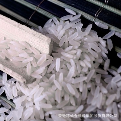 自产自销稼仙大米香玉晶2.5kg家庭用小袋装米粒饱满光亮南方大米图2