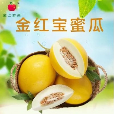 哈密瓜金红宝哈密瓜图3