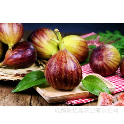 现摘新鲜红皮无花果新鲜应季当季云南孕妇水果图3