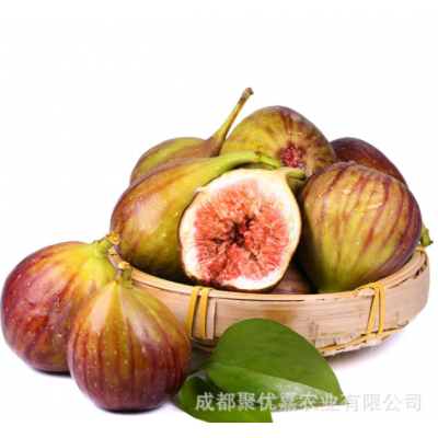 现摘新鲜红皮无花果新鲜应季当季云南孕妇水果图5