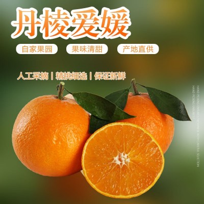 四川丹棱 爱媛38号果冻橙 现摘现发 柑橘蜜桔子 细嫩多汁孕妇水果