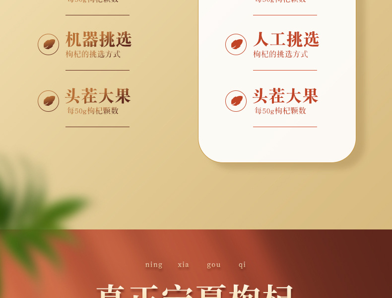 详情页_06.jpg