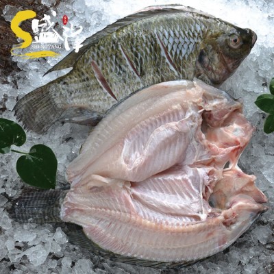 开背鲷鱼片10kg/箱 罗非鱼 带皮冷冻鱼片 火锅烤鱼日料刺身批发
