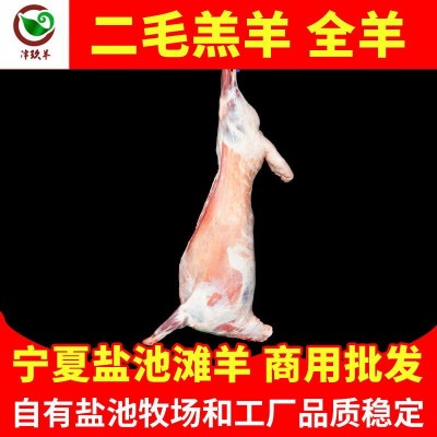 宁夏津玖羊盐池滩羊二毛羔羊白条羊烤全羊火锅烧烤食材生羊肉批发图1