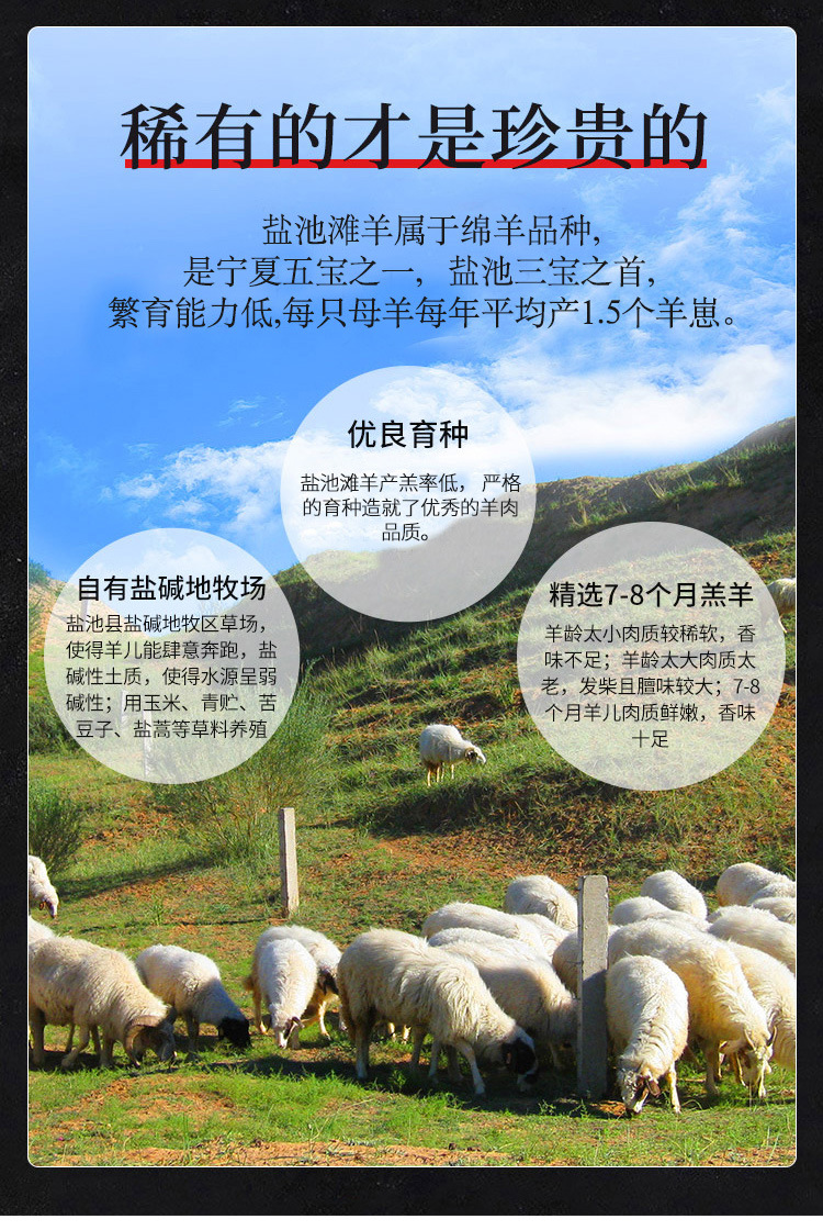 六分体_04.jpg