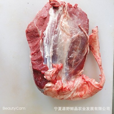 宁夏小黄牛 新鲜现杀牛肉 生鲜牛腱子 烧烤牛肉串