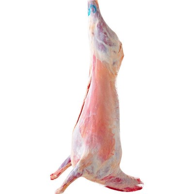 羊羔子 宁夏盐池滩羊肉 羊羔肉 烧 烤全羊 生鲜 整羊 羔羊批发图3