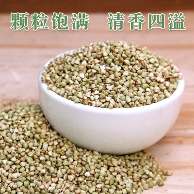 内蒙古荞麦米430g散装 煮粥粗粮饭荞麦仁三角麦 厂家批发五谷杂粮图3