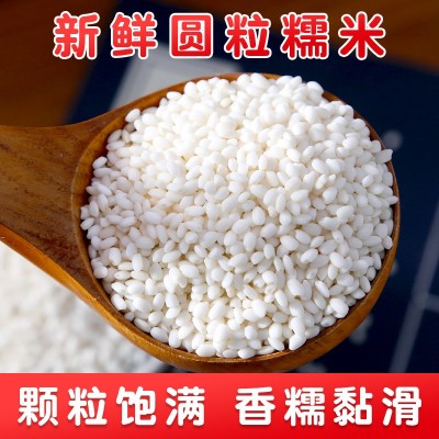 民安圆粒糯米 真空1斤新米粗粮粽子五谷杂粮零售散装东北江米批发图3