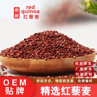 天藜玻利维亚大颗粒红藜麦 厂家批发 五谷杂粮粗粮代餐 轻食