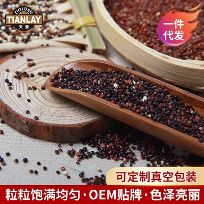 青岛厂家 三色藜麦白藜麦黑藜麦红藜麦黎麦米粗粮五谷杂粮图3