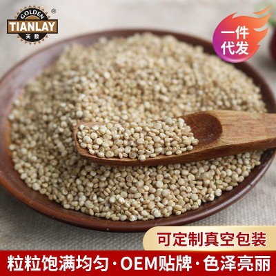 厂家供应白藜麦 三色藜麦500g白红黑混合藜麦米五谷杂粮代餐粗粮图2