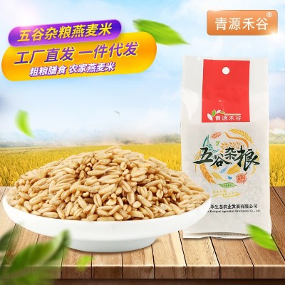 拾叶觅秋 燕麦米燕麦仁杂粮燕麦米五谷粗杂粮燕麦米袋装 厂家直销